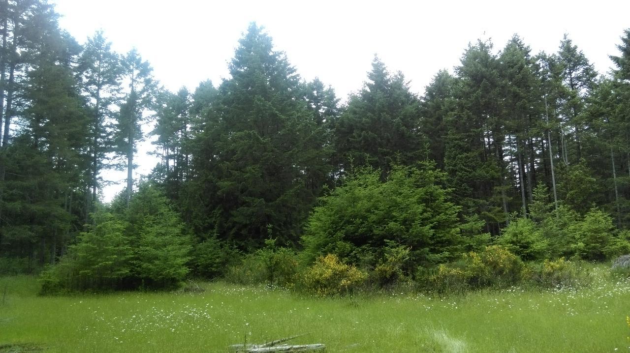 Gabriola Central B&B 外观 照片