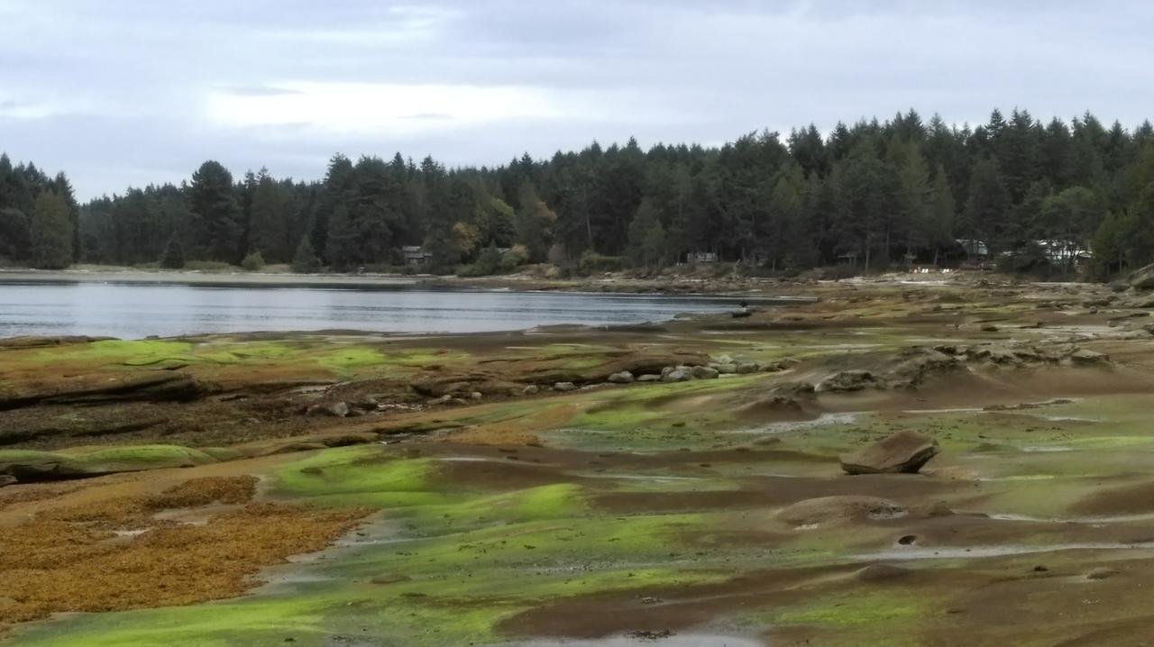 Gabriola Central B&B 外观 照片